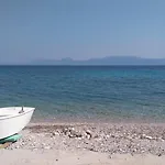 Ida *
