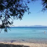 Ida Sućuraj