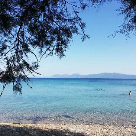Ida Sućuraj
