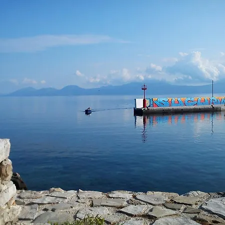Ida * Sućuraj