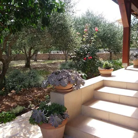 Ida Apartman Sućuraj